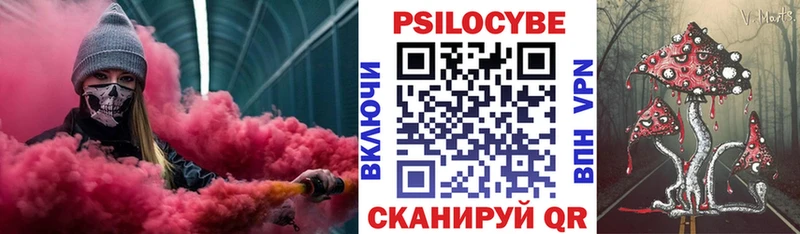закладка  Волосово  Псилоцибиновые грибы Cubensis 